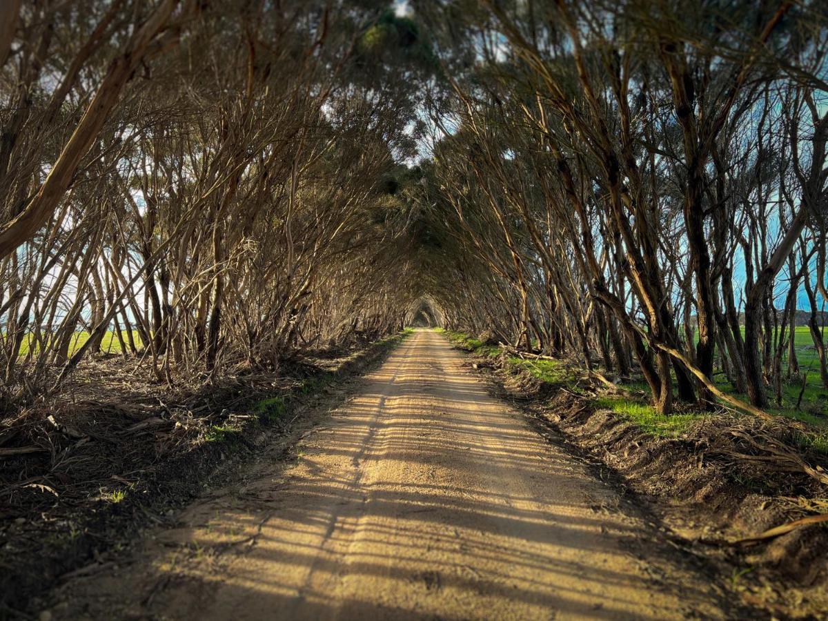 Cabn Kangaroo Island Penneshaw Exterior photo